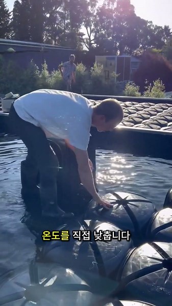 지붕에 물을 부어 에어컨 없이 집을 식히는 방법