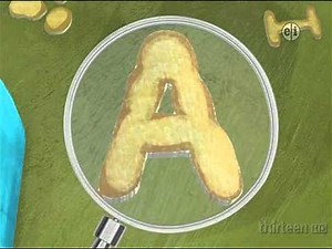 Alpha pig build Chair