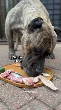 Cost of raw breakfast