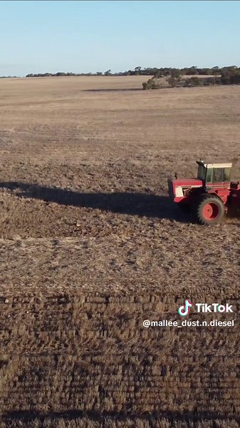 Mallee Dust.N.Diesel on TikTok