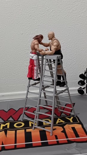 Exciting WWE Action Figures Stop Motion Battles