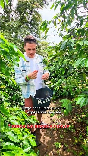 📍¿Qué hacer en el Eje Cafetero en 4 días? Infos🇫🇷🇨🇴🇬🇧 itinerario & presupuest 👇