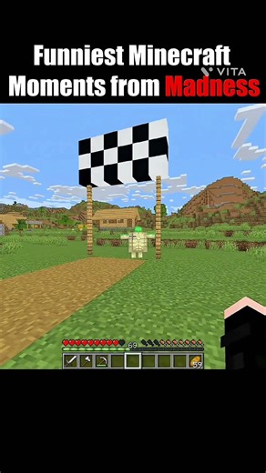 Biggest Minecraft Troll Ever 💀