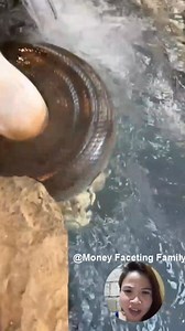 📌ANACONDA 🐍 eats 20 POUNDS 🐖...😳 #snake #pig #anaconda #python #viralvideoシ #reelstrending #pet #petlovers #animals | God's Wealth: My Family