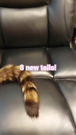 Easter Haul! 🐣 🐰 #therian #haul #shorts #short #shortvideo #alterhuman #dinomask #furry #antizoo #no