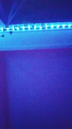 Alice (@angel..alice)’s videos with original sound - Alice