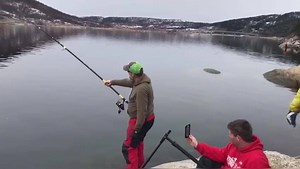 46K views · 157 reactions | Ever wondered how powerful halibut are?...