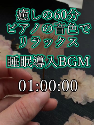 睡眠導入BGM 60分 宜しければフォロー・いいねをお願いします！ ▼音楽：魔王魂 ▼映像：Pexels Camille Brodard様 #眠くなる #眠れる #寝落ち #睡眠導入音楽 #睡眠用bgm #自律神経 #作業用bgm #癒し動画 #リラックス #安眠 #放置用動画 #ポイ活 #healing #sleep #sleepmusic #naturesounds #soundtiktok