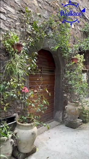 CARTOLINE DA VETRALLA (VT) #viaggiaconwallace #borghidaraccontare #italy