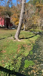 The beautiful spring run and view of the mill at Alley Spring near Eminence, MO #floatingtheozarks #river #ozarks | Floating the Ozarks