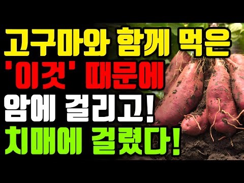 고구마와 절대로 함께 먹지마세요🍠 고구마 함께 먹으면 보약 되는 3가지와 만성 염증과 독소 싹 빼주는 최고의 레시피 총정리[암 치매 예방 변비 불면증 찐 군고구마 음식 건강 정보]