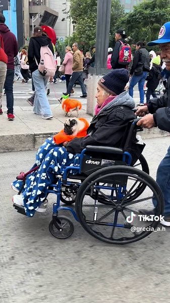 PugManiaco 2024 🧟 Mucho pugsito 🤍