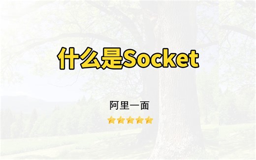 【Java面试】什么是Socket