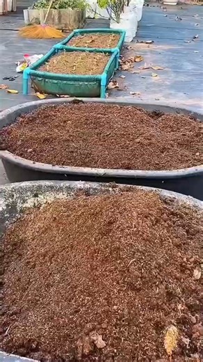 Why You Should Mix Compost in Pots Before Planting