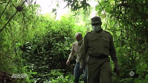 Enquête exclusive - République Démocratique du Congo les millionnaires du chaos
