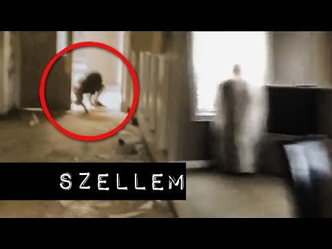 8 Rémisztő és Szellemes videó #9
