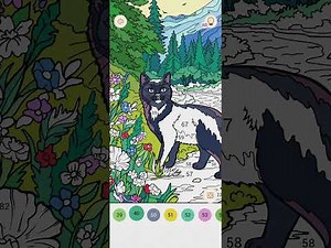 Happy Color™ by Number Experience