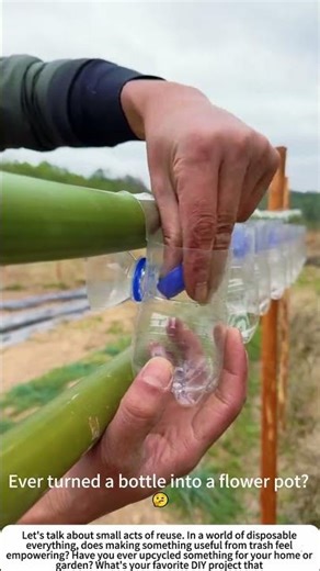 Second Life: Upcycling a Plastic Bottle into a Planter