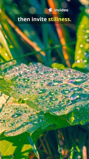 ​The Source Code: 3 Peaceful Pathways to Calm Clarity (Find Your Inner Zen