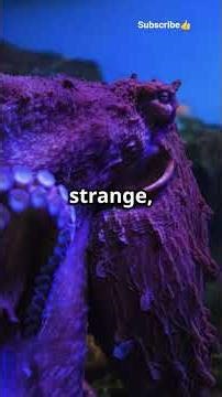 ​The Real Alien Found 20,000 Feet Deep (Bigfin Squid)​#DeepSea #BigfinSquid #Thalassophobia