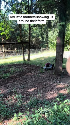 My parents farm ❤️❤️ #pnw #oregon #farmlife #oregontreehouse #fypシ゚viral🖤tiktok #fyp #jessicastocker #winterhouse #summerhouse