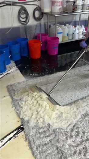 Look what came out of this shag rug! 😱