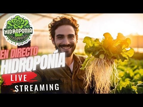 Aprende como hacer hidroponía totalmente gratis | PASO A PASO |