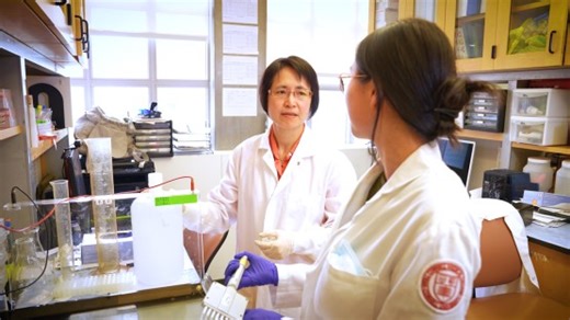 Research at risk: stopping metastatic cancer | Cornell Chronicle