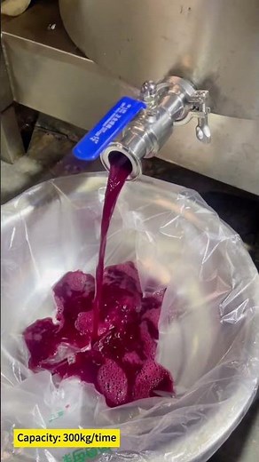 Hydraulic Juicer Press Machine