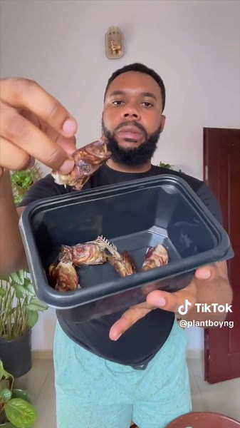 Dealing with Rats in Your Garden: Effective Pest Control Tips