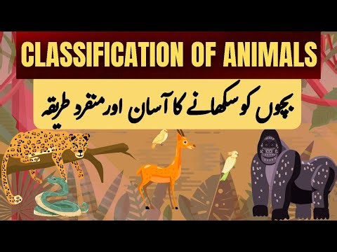 Kids Science | Vertebrates vs Invertebrates vs Mammals | Easy Science for Kids
