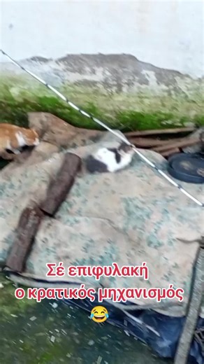 Βίντεο χρήστη Λουκυ Λουκ (@dyn1emmhjoyz) με μουσική Dynata (Live) - Eleftheria Arvanitaki