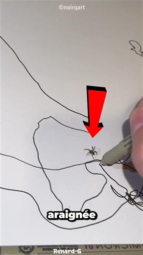 Regardez Le Dessin Qu’a Fait Ce Araignées 😱