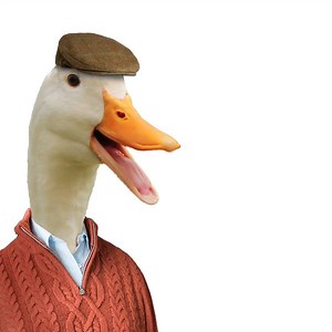 My dad joke may leave you in stitches, but thankfully I’m here to keep your Father’s Day festivities intact! | Aflac Duck