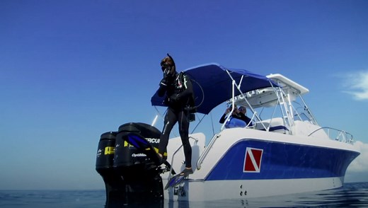 Excited to announce that we’ve completely revamped DAN.org. This new site is your one-stop destination for dive safety information, dive accident insurance, travel insurance and much more. Whether you’re a new diver, an experienced diver, a dive professional or a dive operator you’ll find everything you need to know about safe diving at www.DAN.org | Divers Alert Network