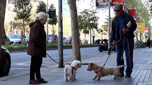 德克萨斯州, 树木, 国家, 邻居, 休斯顿, 财产, 牧场