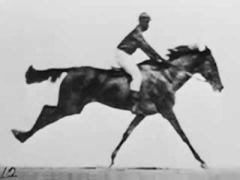 El caballo en movimiento (Race Horse, 1878) de Eadweard Muybridge
