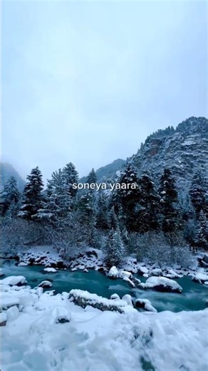 Dil Tu Jaan Tu | Gurnazar | Female Version |Arunima Sharma | Superhit Punjabi Song | ViralReels