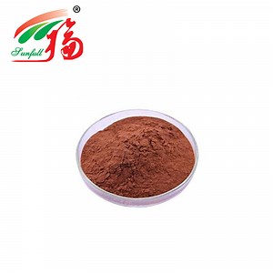 [Hot Item] Instant Tea Powder Black Tea Extract 20% Polyphenols