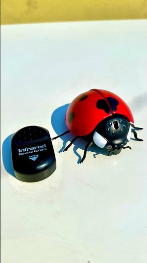 Remote Control Ladybug Unboxing