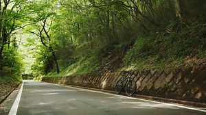 360゜PURE FOREST // HAKONE MOUNTAIN RIPPER 120SEC