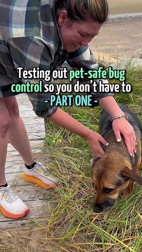 [Part 1] Testing pet-safe bug control so you don’t have to #sponsored We put @Wondercide to the test on our recent trip to our family’s beach house on Cape Cod where Lyme disease runs rampant. After using Wondercide for a week, we are happy to report that Wondercide gets our full stamp of approval. It effectively killed black ants on contact, and repelled ticks throughout our entire trip. So if you’re looking for an affordable and effective alternative to toxic pest control services, we highly r