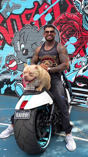 Champagne China: Exploring Federal Bullying Dynamics