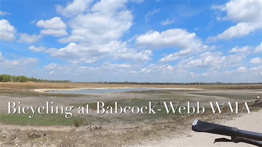 Babcock-Webb - February 19, 2026