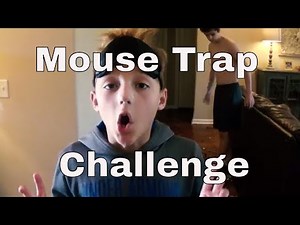 MOUSE TRAP / LEGO CHALLENGE