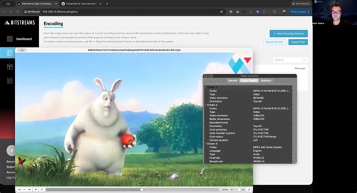 NETINT AI Encoding Demo | Mark Mahle