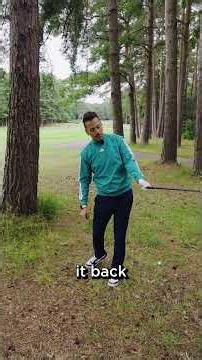 Why the Chicken Wing Works 🍗