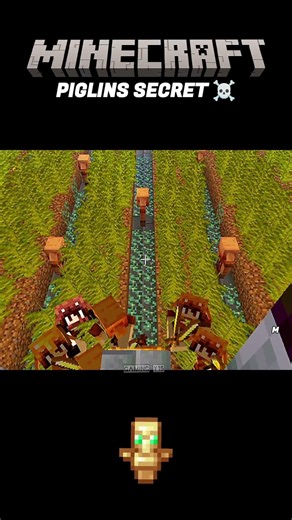 PIGLINS secrets☠️☠️☠️☠️☠️☠️🤯🤯🤯 #gamingy15 #minecraft #memes #gaming #gamingshorts