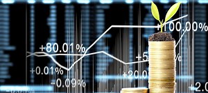 Public Finance and Fiscal Policies