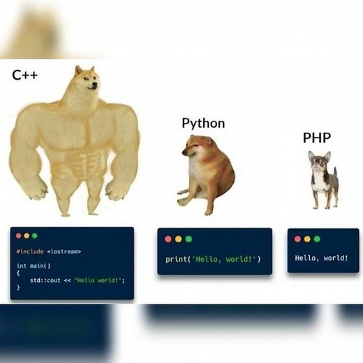 C++ v/s Python v/s PHP | #python #pythoncode #python编程 #iot #machinelearning #blockchain #java #c++
